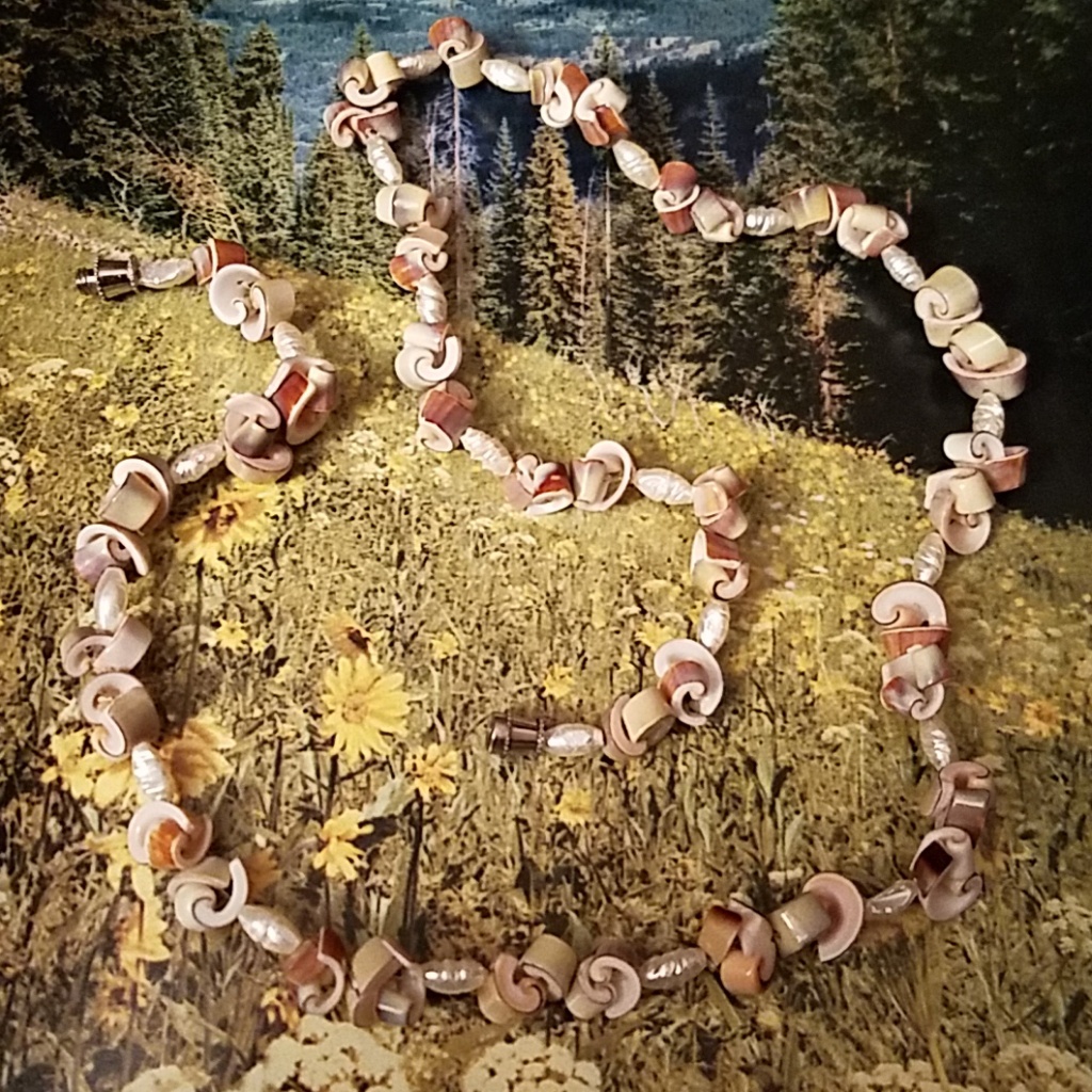 Shell Necklace